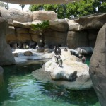サンタバーバラ動物園